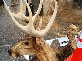Buck Wood Chainsaw Carving