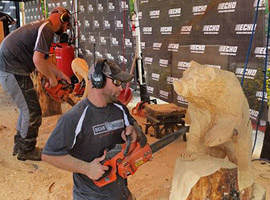 Multi-Artist Wood Carving Demonstrations