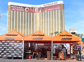 Mandalay Bay Las Vegas Wood Carvers