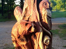 Raccoon and Owl Yard Tree Carving