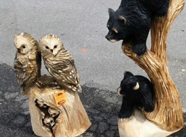 Bear Hollow