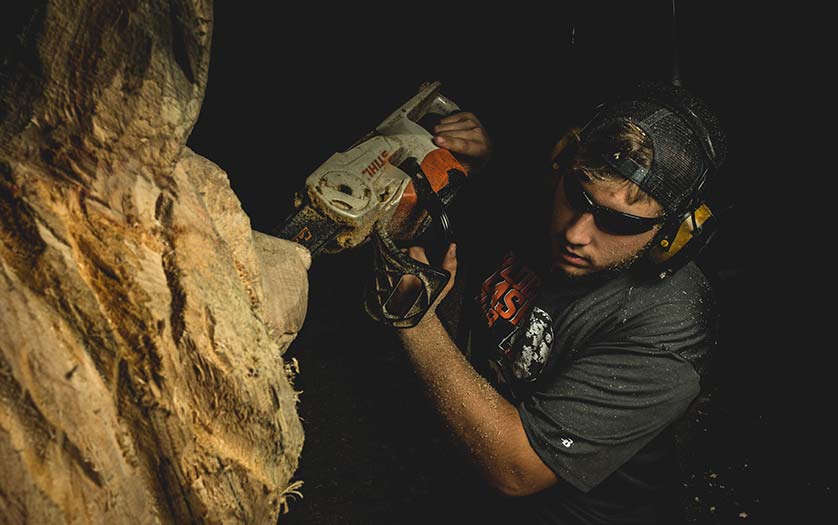 Stump Tree Chainsaw Carving