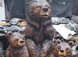 Bear Hollow