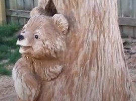 Two Bears Carved in Tree Trunk