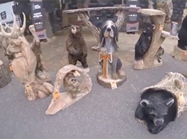Bear Hollow French Licks Video